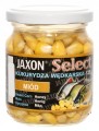 Kukurydza Jaxon Miód 125g
