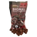 Kulki Starbaits Concept Signal 30mm 800g  