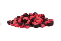 wafters-matchpro-top-worms-duo-halibut-8mm-196