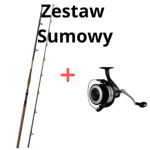 Zestaw Sumowy Wędka Delphin SymbolCAT 310cm 500g + Kołowrotek Mamut 12000 XXL