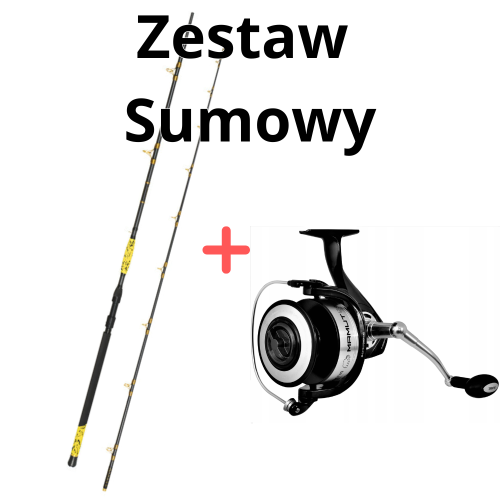 zestaw-sumowy-wedka-delphin-hazard-bxg-310cm-505g-kolowrotek-mamut-12000-xxl-4694