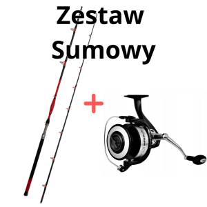 Zestaw Sumowy Wędka Delphin Danger Catfish 310cm 350g + Kołowrotek Mamut 12000 XXL