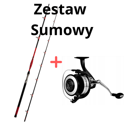 zestaw-sumowy-wedka-delphin-danger-catfish-310cm-350g-kolowrotek-mamut-12000-xxl-4695