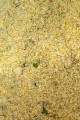 feeder-baits-method-mix-amur-xxl-800g-4898