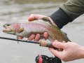 delphin-wedka-troutera-hardlure-210cm-2-7g-5020