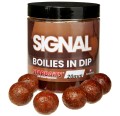 Kulki Starbaits Boilies In Dip 20mm Signal 150g  