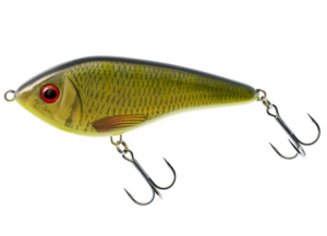 Westin Swim Glidebait 10cm 31g TC Roach Perch 
