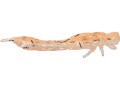 przyneta-westin-odonata-ned-creaturebait-6-5cm-uv-shrimp-6024
