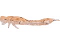 przyneta-westin-odonata-ned-creaturebait-6-5cm-uv-shrimp-6024