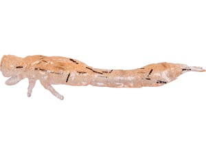 Przynęta Westin Odonata Ned Creaturebait 6,5 cm - UV Shrimp 