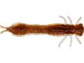przyneta-westin-odonata-ned-creaturebait-6-5cm-brown-shiner-6026