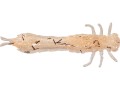przyneta-westin-odonata-ned-creaturebait-6-5cm-uv-shrimp-6024