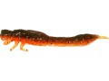 przyneta-westin-odonata-ned-creaturebait-6-5cm-motoroil-moss-6029