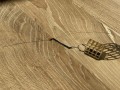 0d841ad0da5d9ecca08d4fedb91de225.jpg