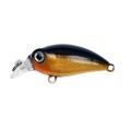 Wobler Konger Squab Diver 30mm Floating Kolor 5