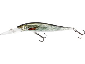 Wobler Westin Jerkbite MR 9cm - Real Roach 