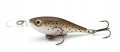 woblery-rapala-special-trout-kit-ultra-light-6352
