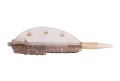 koszyk-drennan-pellet-method-feeder-35g-s-1209