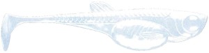 Przynęta  kopyto Libra Embrion Shad 5cm  Blue Pearl