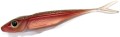 Jaskółka Gunki Kiddy Smelt Parardise 5cm    