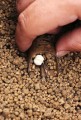 drennan-koszyk-zanetowy-pellet-feeder-35g-medium-487