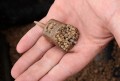 drennan-koszyk-zanetowy-pellet-feeder-35g-medium-487