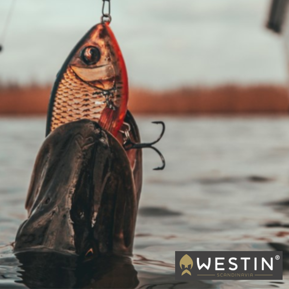 Westin Jerk Swim Glidebait 10cm 31g Real Rudd